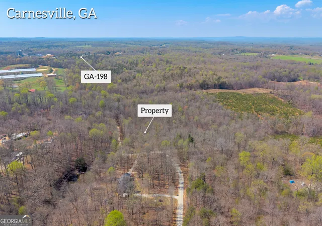 1st image of 300 Rolling Rock Rd, Carnesville, GA 30521 | MLS# 10716276