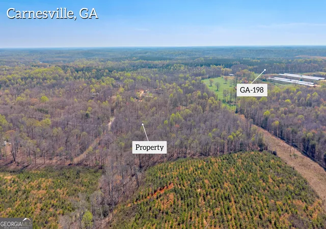 3rd image of 300 Rolling Rock Rd, Carnesville, GA 30521 | MLS# 10716276