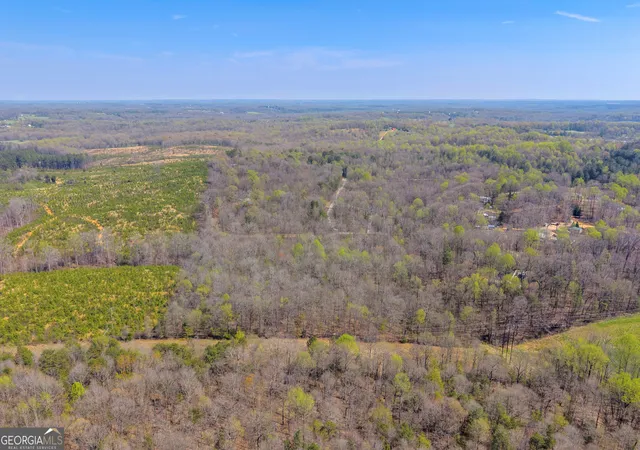 4th image of 300 Rolling Rock Rd, Carnesville, GA 30521 | MLS# 10716276