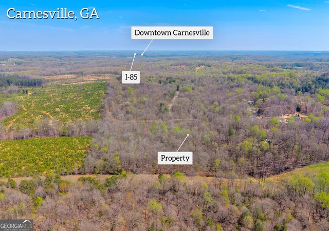 5th image of 300 Rolling Rock Rd, Carnesville, GA 30521 | MLS# 10716276