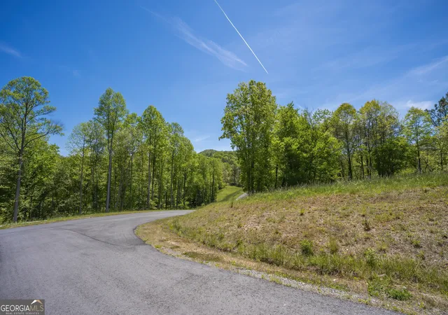 1st image of Lot 4 4a Jonica Gap Rd, Mineral Bluff, GA 30559 | MLS# 10800066