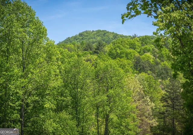 Photo 3 of Land for sale at Lot 4 4a Waterstone Way, Mineral Bluff, GA 30559 | MLS# 10800066 | Listing updated on 2026-07-20