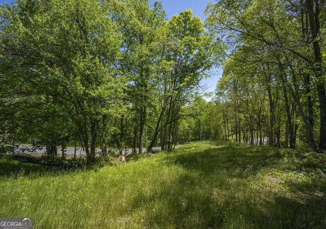 Photo 4 of Land for sale at Lot 4-4a Waterstone Way, Mineral Bluff, GA 30559 | MLS# 10800066 | Listing updated on 2026-07-20