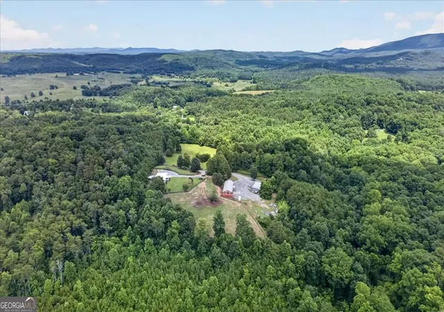 Homes for sale in Rydal, GA | 290 Knucklesville Rd, Rydal, GA 30171 | MLS# 10796179