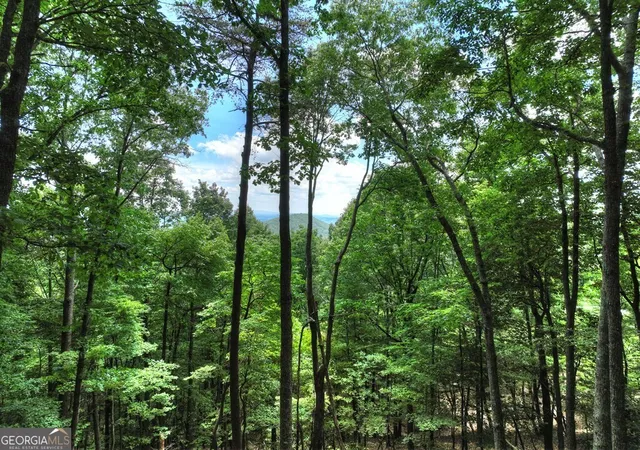 Photo 2 of Sale Pending at 388 Walnut Rdg, Ellijay, GA 30536 | MLS# 10790599 | Listing updated on 2026-09-14