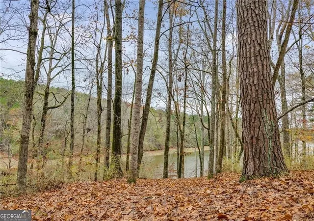 46th image of 155 Indian Bend Dr, Lagrange, GA 30240 | MLS# 10791423