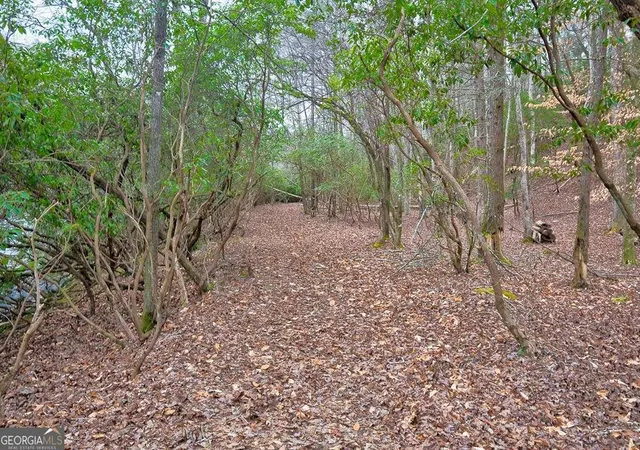 Photo 3 of Land for sale at 8 Acres Brunton Cir, Ellijay, GA 30540 | MLS# 10761106 | Listing updated on 2026-08-12