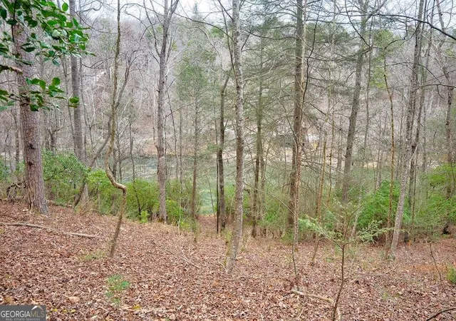 Photo 4 of Land for sale at 8 Acres Brunton Cir, Ellijay, GA 30540 | MLS# 10761106 | Listing updated on 2026-08-12