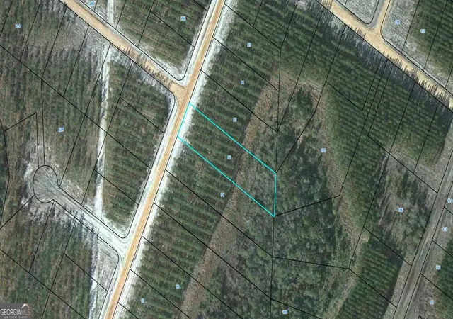 Photo 1 of Land for sale at 92 Satilla Plantation, Waynesville, GA 31566 | MLS# 10829606 | Listing updated on 2026-09-03