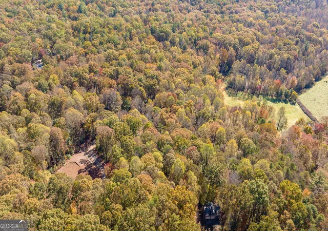56th image of 1010 Meadowview Rdg, Clarkesville, GA 30523 | MLS# 10805915