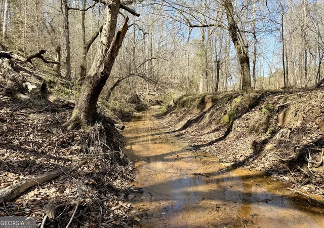 2nd image of 0 Hwy 28, Abbeville, SC 29620 | MLS# 10724289