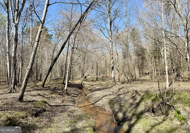 4th image of 0 Hwy 28, Abbeville, SC 29620 | MLS# 10724289