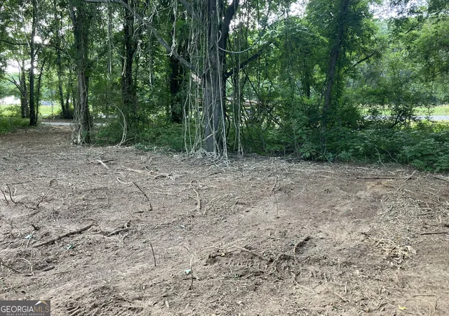Photo 1 of Land for sale at 0 Durand Hwy, Warm Springs, GA 31830 | MLS# 10833615 | Listing updated on 2026-09-01