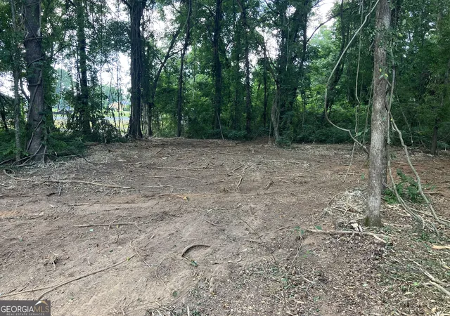 Photo 2 of Land for sale at 0 Durand Hwy, Warm Springs, GA 31830 | MLS# 10833615 | Listing updated on 2026-09-01