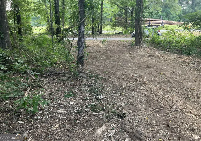 Photo 3 of Land for sale at 0 Durand Hwy, Warm Springs, GA 31830 | MLS# 10833615 | Listing updated on 2026-09-01