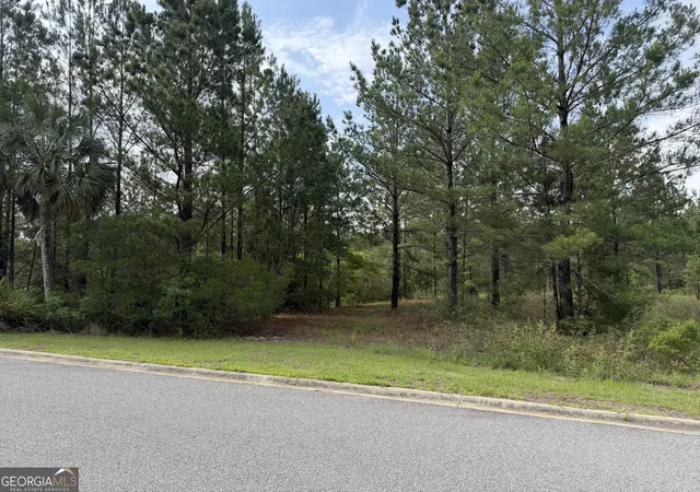Homes for sale in Waynesville, GA | 112 Big Horse Dr, Waynesville, GA 31566 | MLS# 10774132