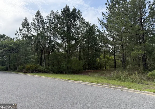 Homes for sale in Waynesville, GA | 112 Big Horse Dr, Waynesville, GA 31566 | MLS# 10774132