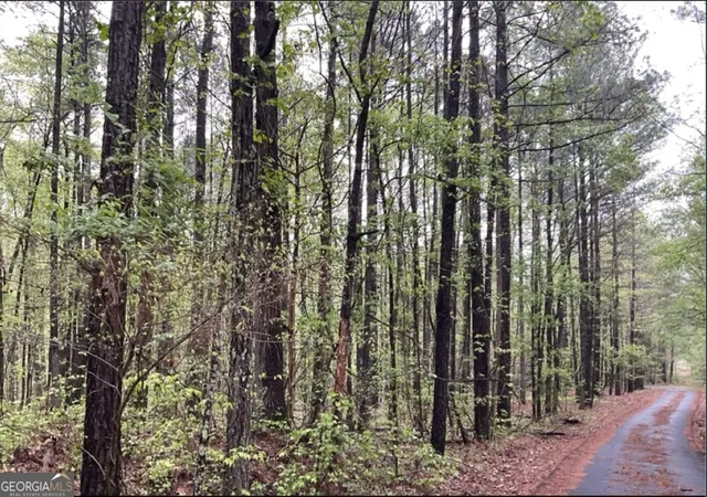 Photo 2 of Land for sale at 0 Labudde Ln, Colbert, GA 30628 | MLS# 10836484 | Listing updated on 2026-10-16