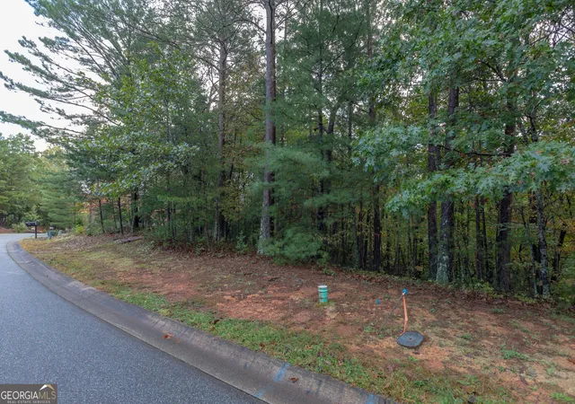 Photo 3 of Land for sale at 0 Zeppelin Strasse, Helen, GA 30545 | MLS# 10817009 | Listing updated on 2026-08-14