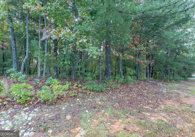 Photo 4 of Land for sale at 0 Zeppelin Strasse, Helen, GA 30545 | MLS# 10817009 | Listing updated on 2026-08-14