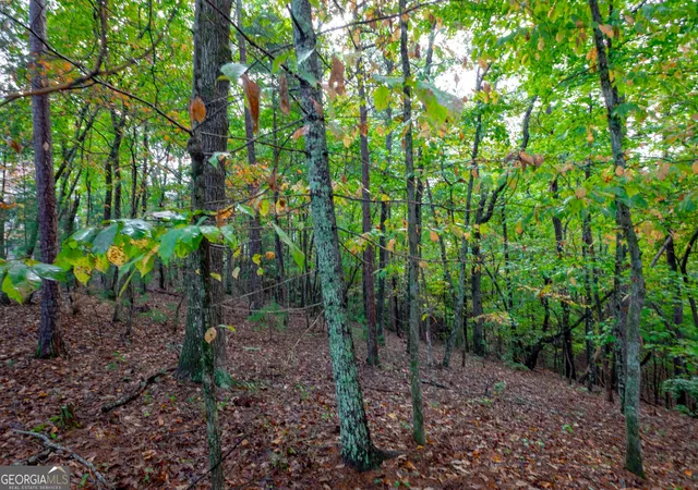 8th image of 0 Zeppelin Strasse, Helen, GA 30545 | MLS# 10817009