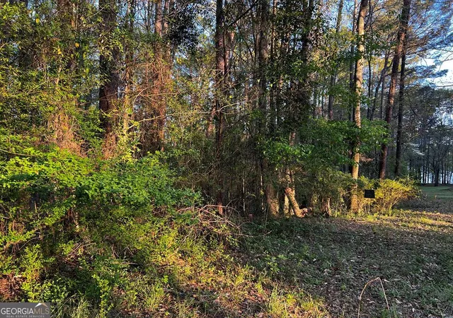 1st image of 203 View Pointe Ln, Lagrange, GA 30241 | MLS# 10720511