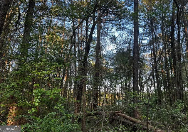 2nd image of 203 View Pointe Ln, Lagrange, GA 30241 | MLS# 10720511