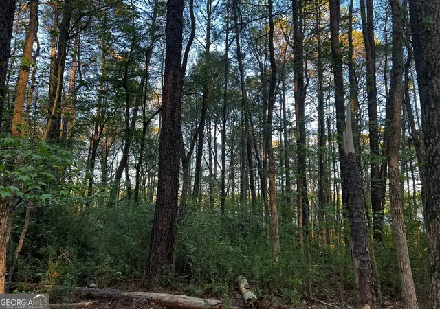 Photo 3 of Land for sale at 203 View Pointe Ln, Lagrange, GA 30241 | MLS# 10720511 | Listing updated on 2026-04-12
