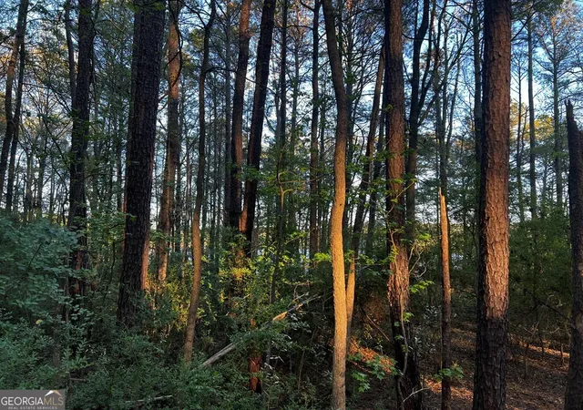 Photo 3 of Land for sale at 203 View Pointe Ln, Lagrange, GA 30241 | MLS# 10720511 | Listing updated on 2026-04-12