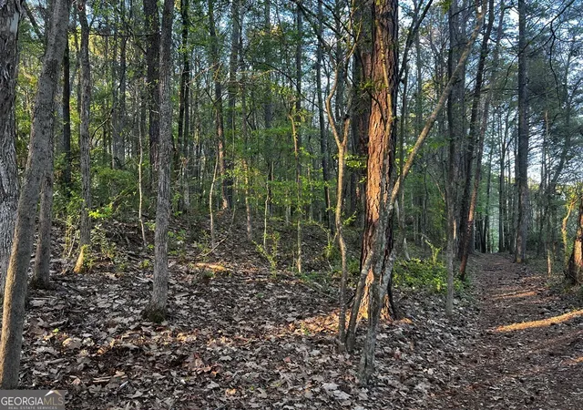 Photo 4 of Land for sale at 203 View Pointe Ln, Lagrange, GA 30241 | MLS# 10720511 | Listing updated on 2026-04-12