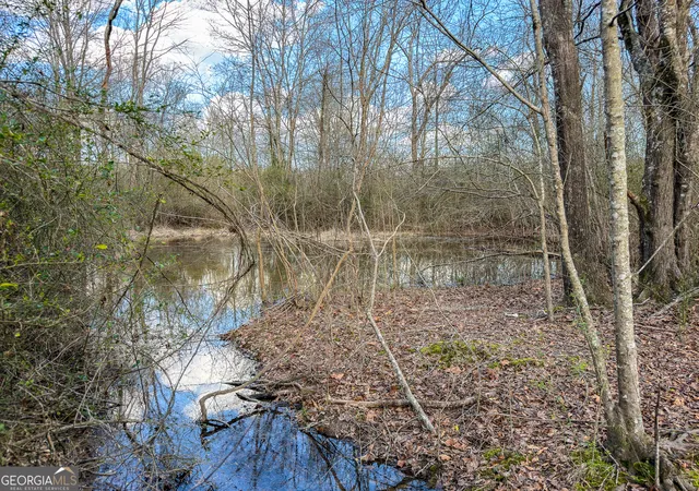 67th image of 1304 Broad St, Tallapoosa, GA 30176 | MLS# 10709122