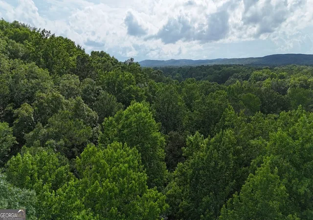 Photo 3 of Land for sale at 0 Forest Glen Rd #A, Sylacauga, AL 35150 | MLS# 10784015 | Listing updated on 2026-07-24