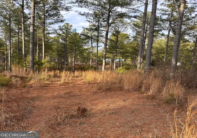Photo 51 of Land for sale at 0 S Off Hwy 225 #9659, Chatsworth, GA 30705 | MLS# 10620795 | Listing updated on 2026-06-12