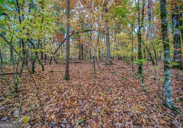 Homes for sale in Marble Hill, GA | 543 Cove Lake Dr, Marble Hill, GA 30148 | MLS# 10760045
