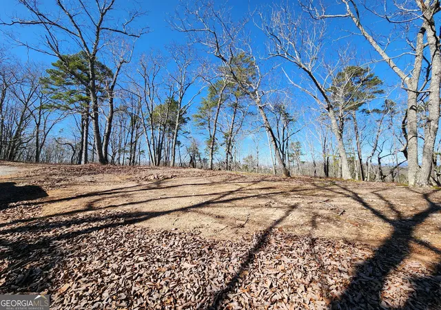 Photo 1 of Land for sale at 0 Nichols Cove Dr, Dawsonville, GA 30534 | MLS# 10551050 | Listing updated on 2026-09-26