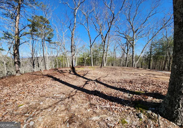 Photo 2 of Land for sale at 0 Nichols Cove Dr, Dawsonville, GA 30534 | MLS# 10551050 | Listing updated on 2026-09-26