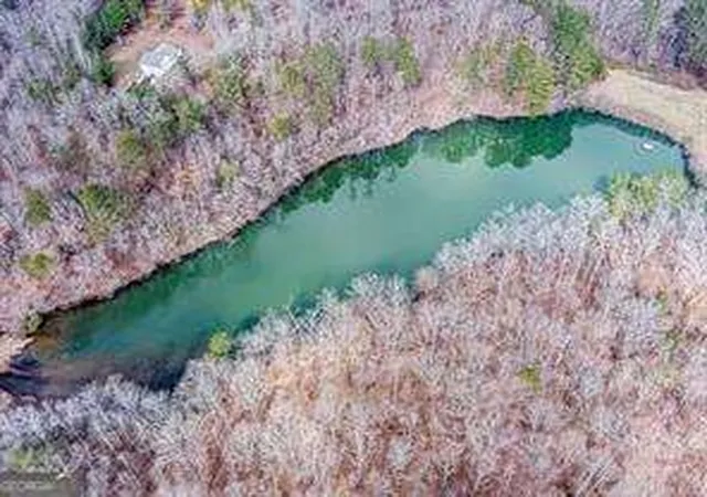 2nd image of 0 Williams Tract D Ln, Ball Ground, GA 30107 | MLS# 10714988