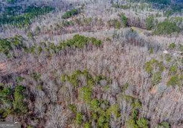 5th image of 0 Williams Tract D Ln, Ball Ground, GA 30107 | MLS# 10714988