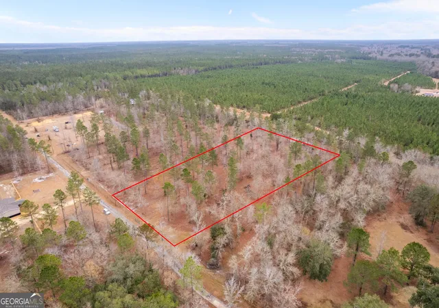 3rd image of Tract 1 Loggan Ln, Jesup, GA 31546 | MLS# 10691643