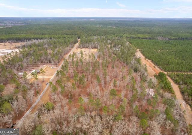 5th image of Tract 1 Loggan Ln, Jesup, GA 31546 | MLS# 10691643