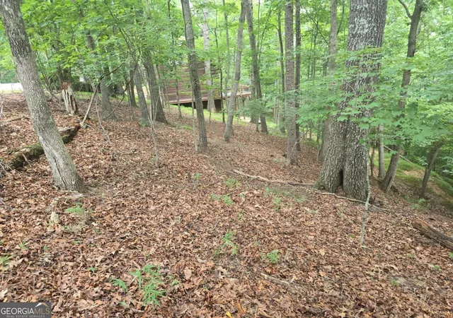 Photo 2 of Land for sale at Lot 476 Riverview Dr, Ellijay, GA 30540 | MLS# 10811814 | Listing updated on 2026-08-06