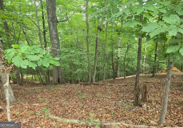 Photo 3 of Land for sale at Lot 476 Riverview Dr, Ellijay, GA 30540 | MLS# 10811814 | Listing updated on 2026-08-06