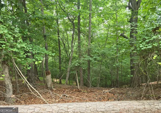 Photo 3 of Land for sale at Lot 476 Riverview Dr, Ellijay, GA 30540 | MLS# 10811814 | Listing updated on 2026-08-06