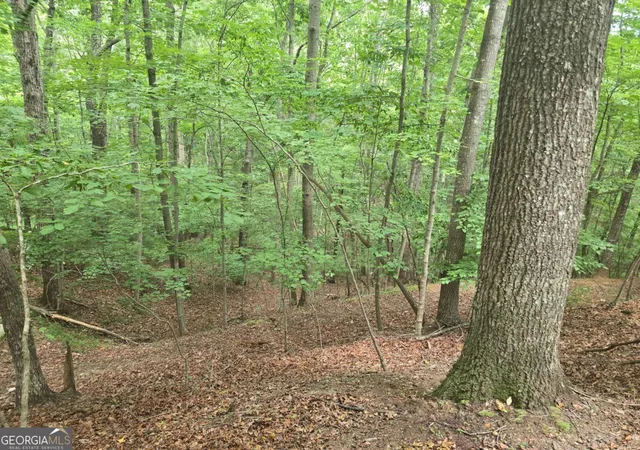 Photo 4 of Land for sale at Lot 476 Riverview Dr, Ellijay, GA 30540 | MLS# 10811814 | Listing updated on 2026-08-06