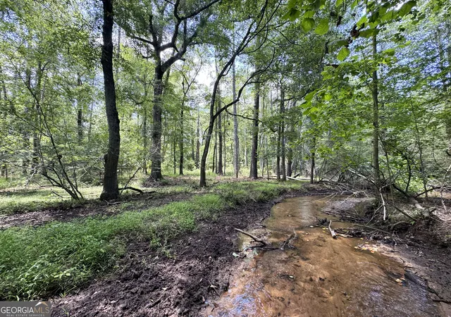 1st image of Tbd Wooten Rd, Cuthbert, GA 39840 | MLS# 10802527