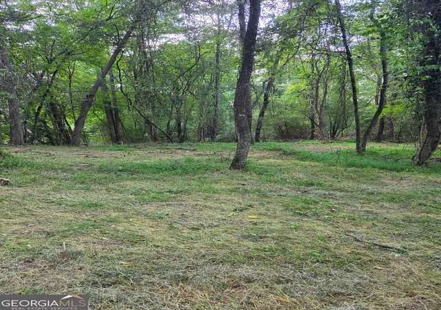 Land for sale at Lot 1 Thurman St #1, Mccaysville, GA 30555 | MLS# 10833253