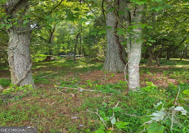 Photo 3 of Land for sale at Lot 1 Thurman St #1, Mccaysville, GA 30555 | MLS# 10833253 | Listing updated on 2026-08-29