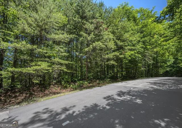 Photo 2 of Land for sale at Lot 136 St Andrews Way, Ellijay, GA 30536 | MLS# 10772025 | Listing updated on 2026-06-09