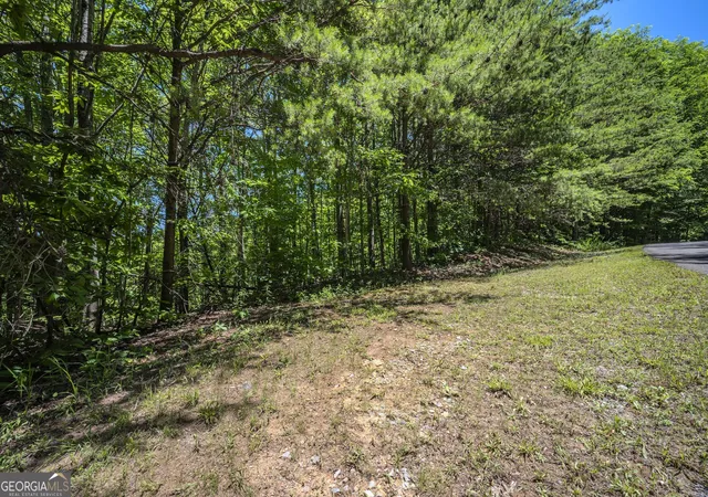 Photo 3 of Land for sale at Lot 136 St Andrews Way, Ellijay, GA 30536 | MLS# 10772025 | Listing updated on 2026-06-09