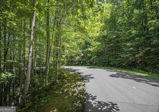 Photo 4 of Land for sale at Lot 136 St Andrews Way, Ellijay, GA 30536 | MLS# 10772025 | Listing updated on 2026-06-09